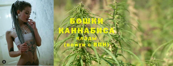 сатива Богданович
