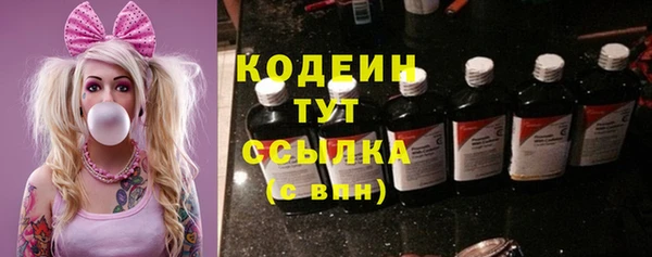 индика Богородск