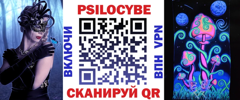 Галлюциногенные грибы Psilocybe  купить наркоту  Богучар 